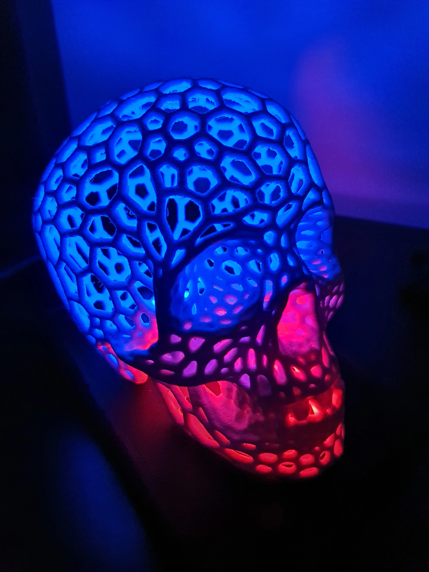 Crystal Cell Skull Lamp