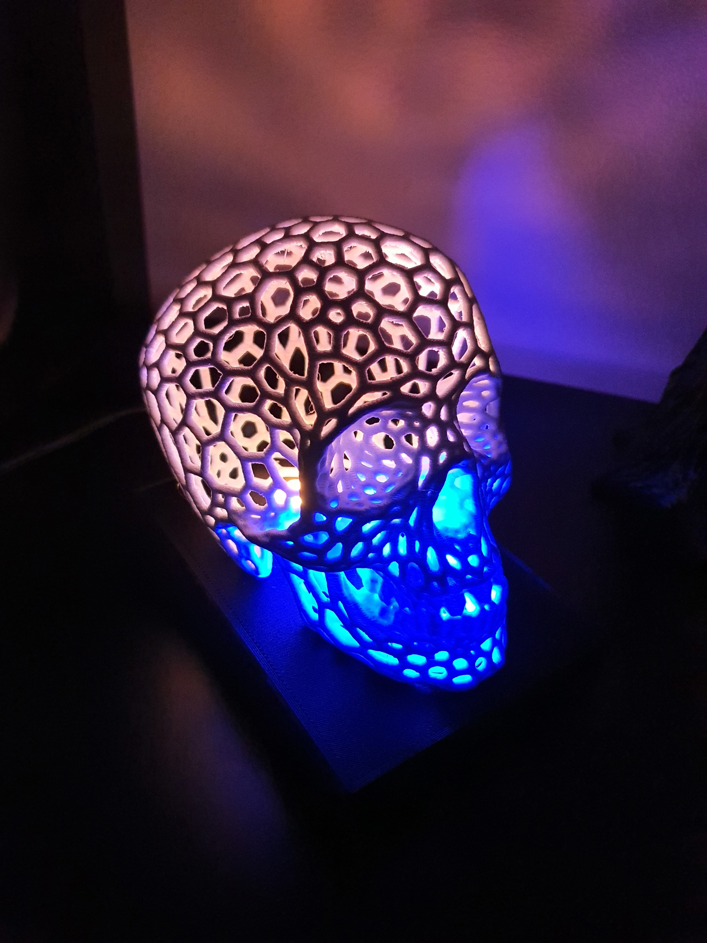 Crystal Cell Skull Lamp