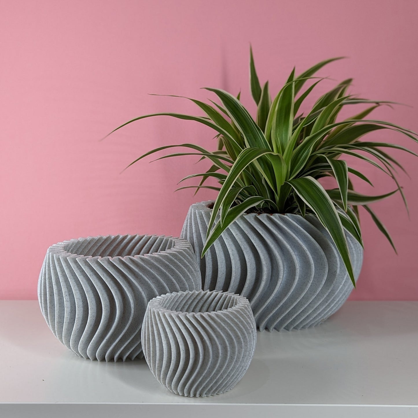 Curved Planter Pot