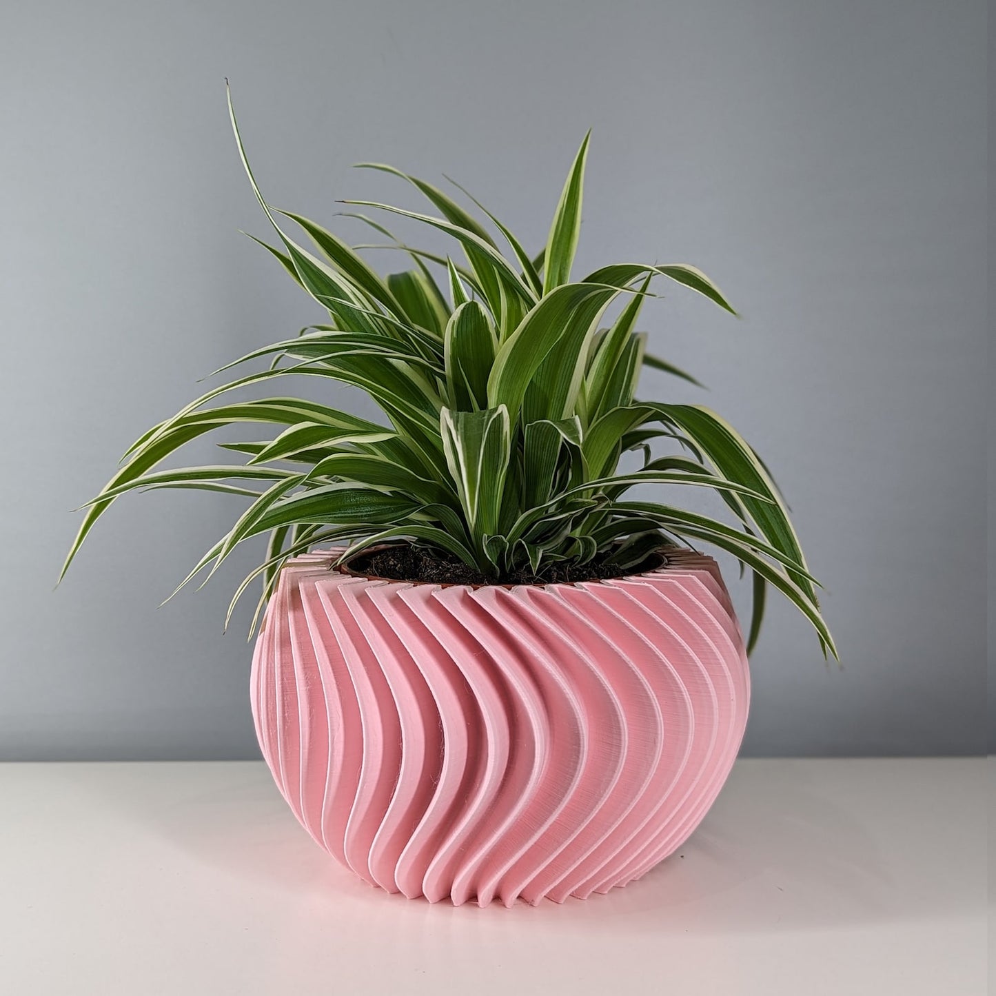 Curved Planter Pot