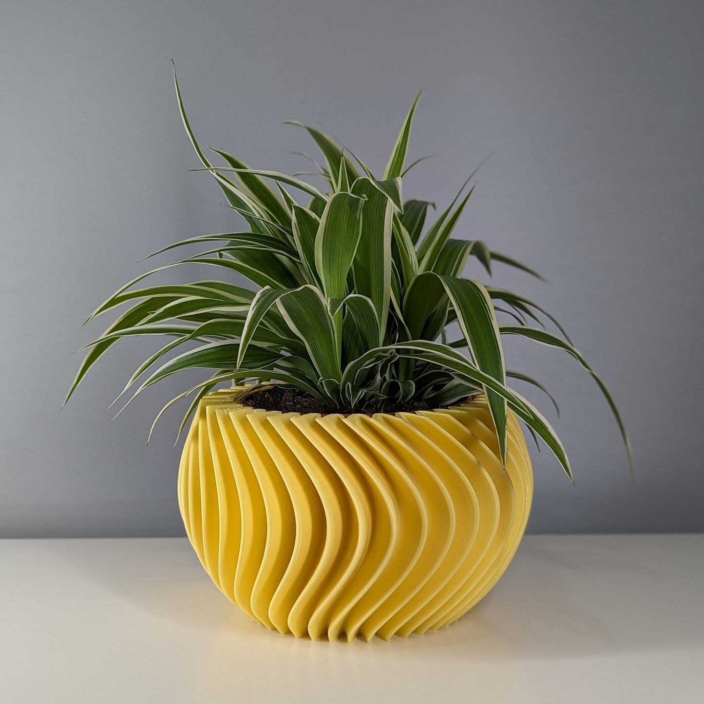 Curved Planter Pot