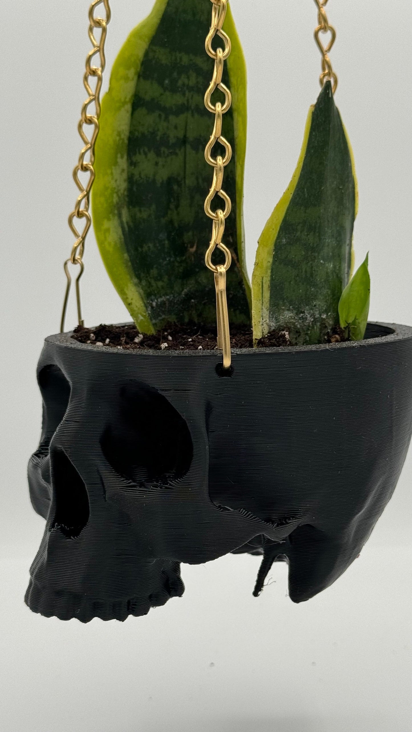 Hanging Planter Skull