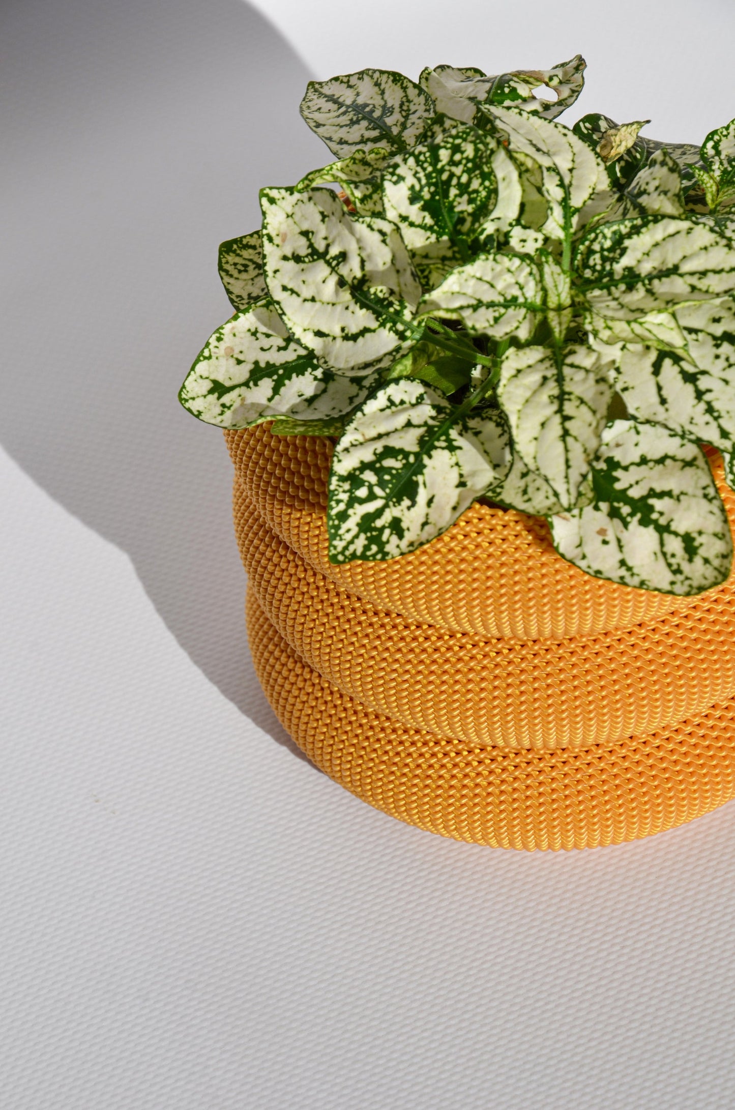 Wavy Golden Flowerpot vase