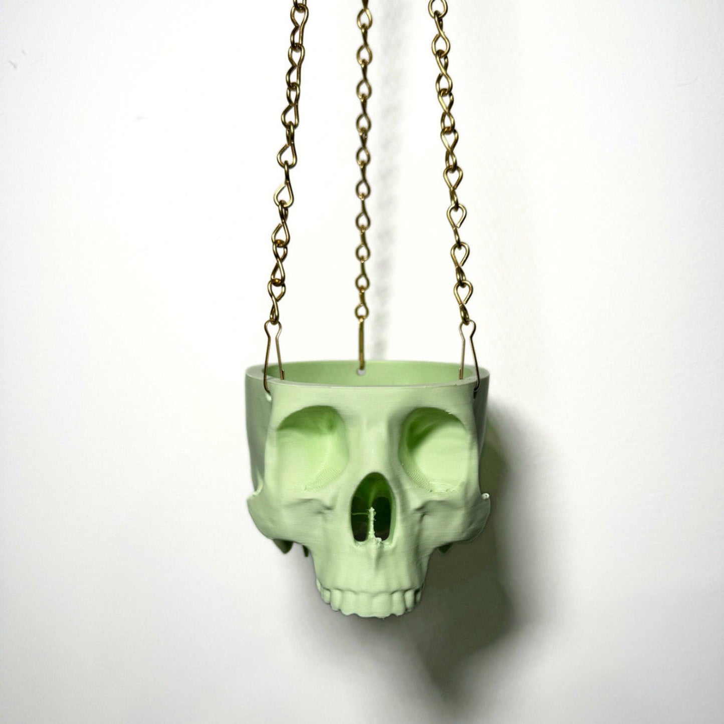 Hanging Planter Skull