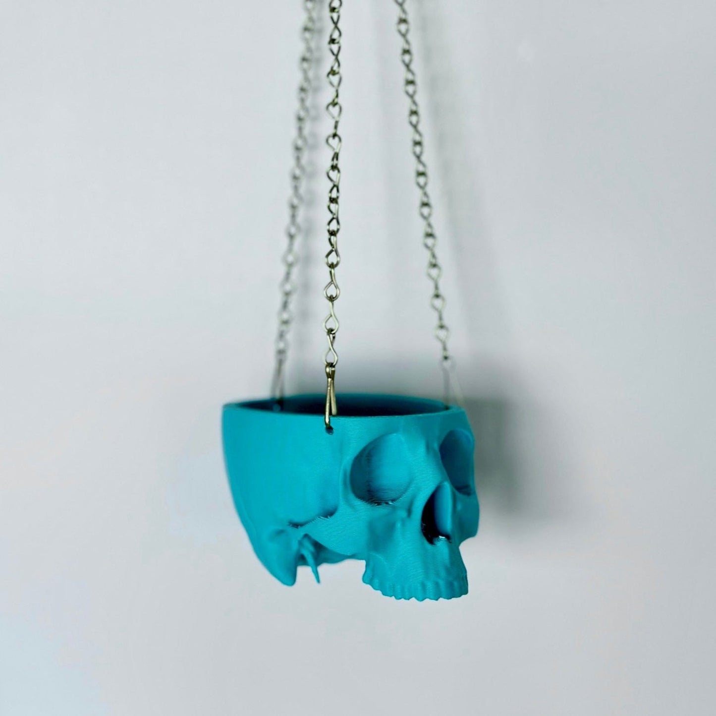 Hanging Planter Skull