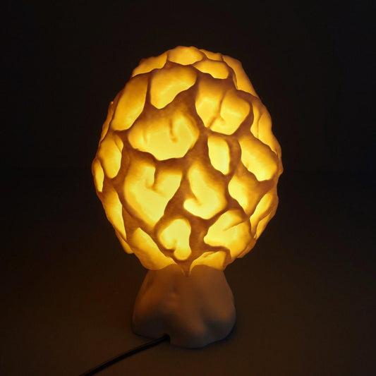 Fungus Table Lamp