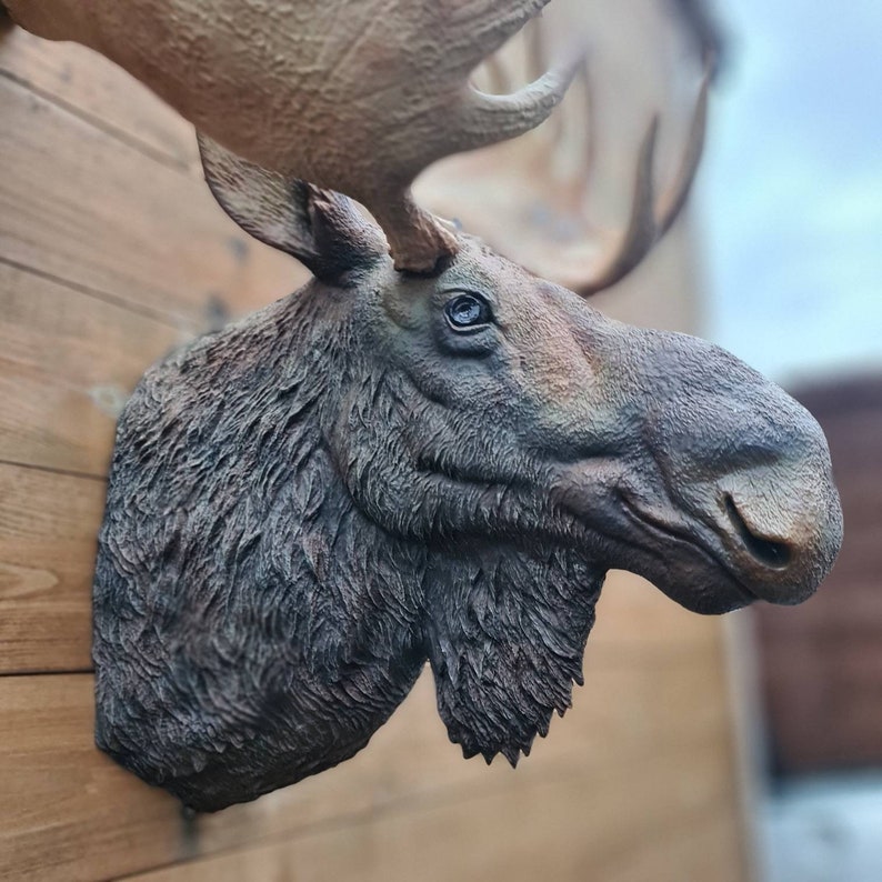 Moose head Wall Art