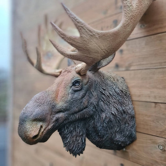 Moose head Wall Art