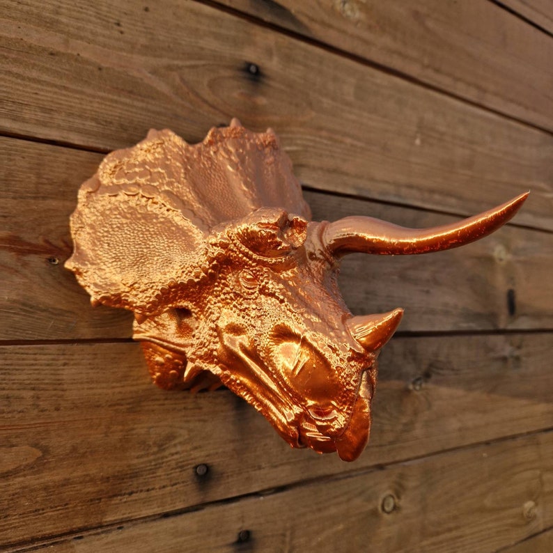 Bull Triceratops Wall Art