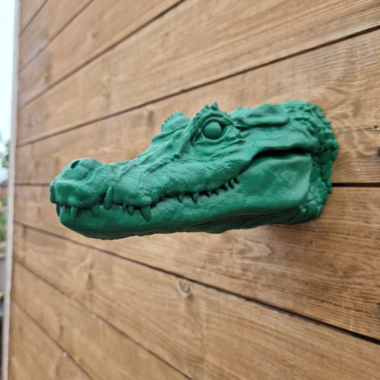 Croc Wall Art