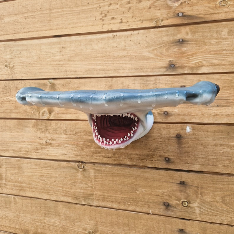 Hammerhead Shark Wall Art