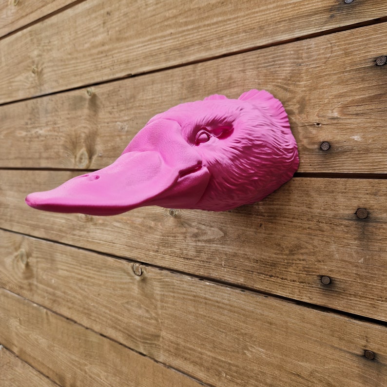 Platypus Wall Art